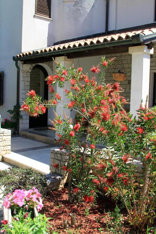 Apartman Borghese Pula