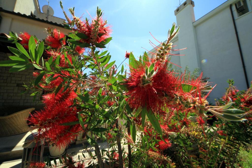 Apartman Borghese
